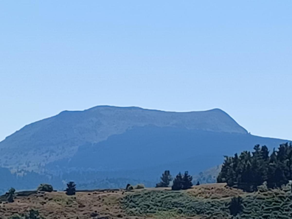 Gite AURIVES Le Cheylard Exterior foto